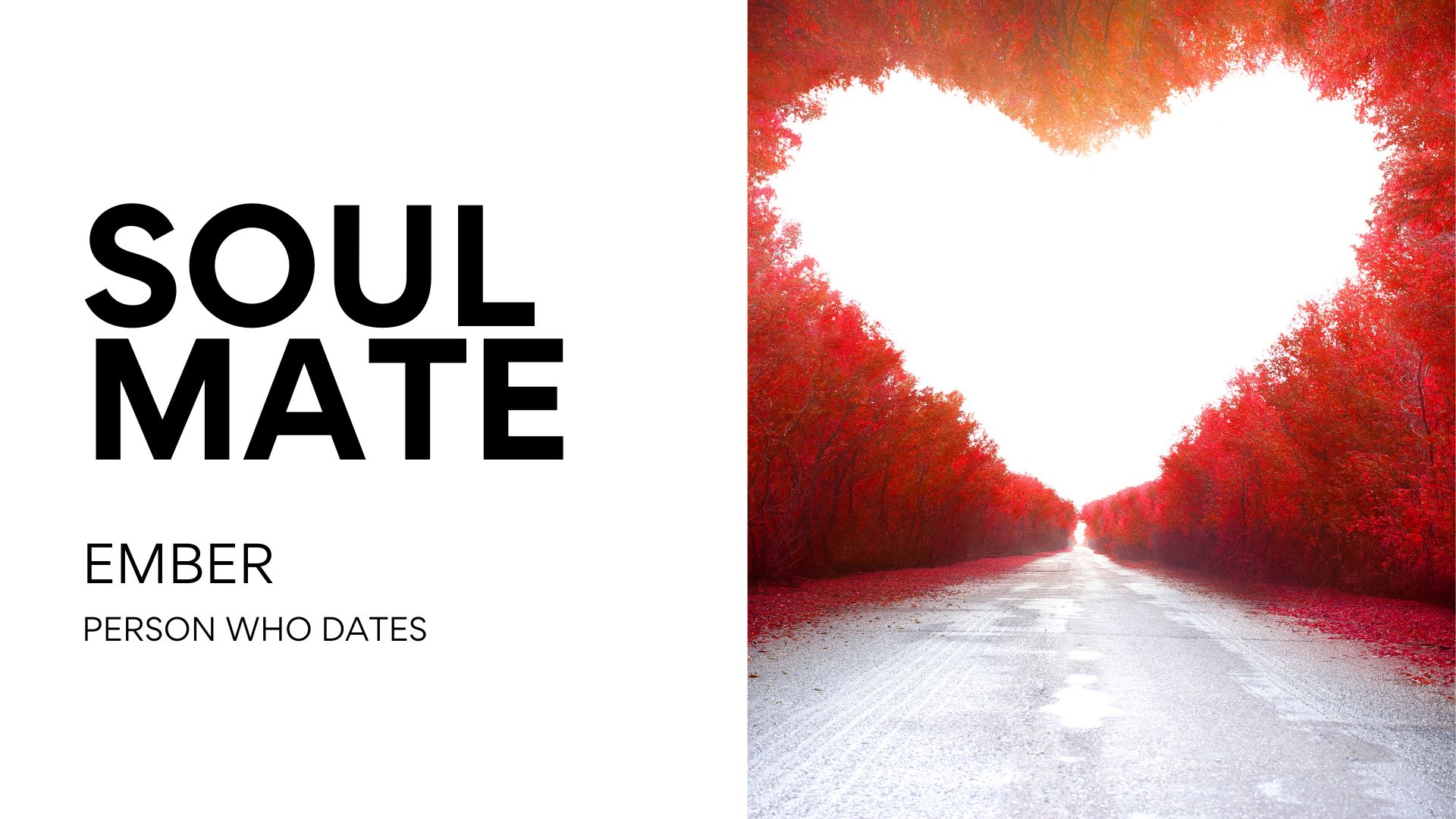 Soulmate Attraction Playbook Emily Edition